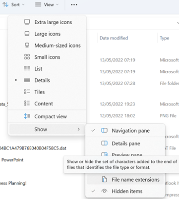 File Name extensions option